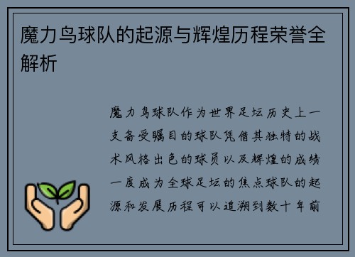 魔力鸟球队的起源与辉煌历程荣誉全解析